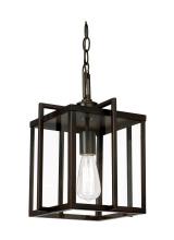 Trans Globe 10210 ROB - 1LT PENDANT-SQUARE-EDISON-ROB